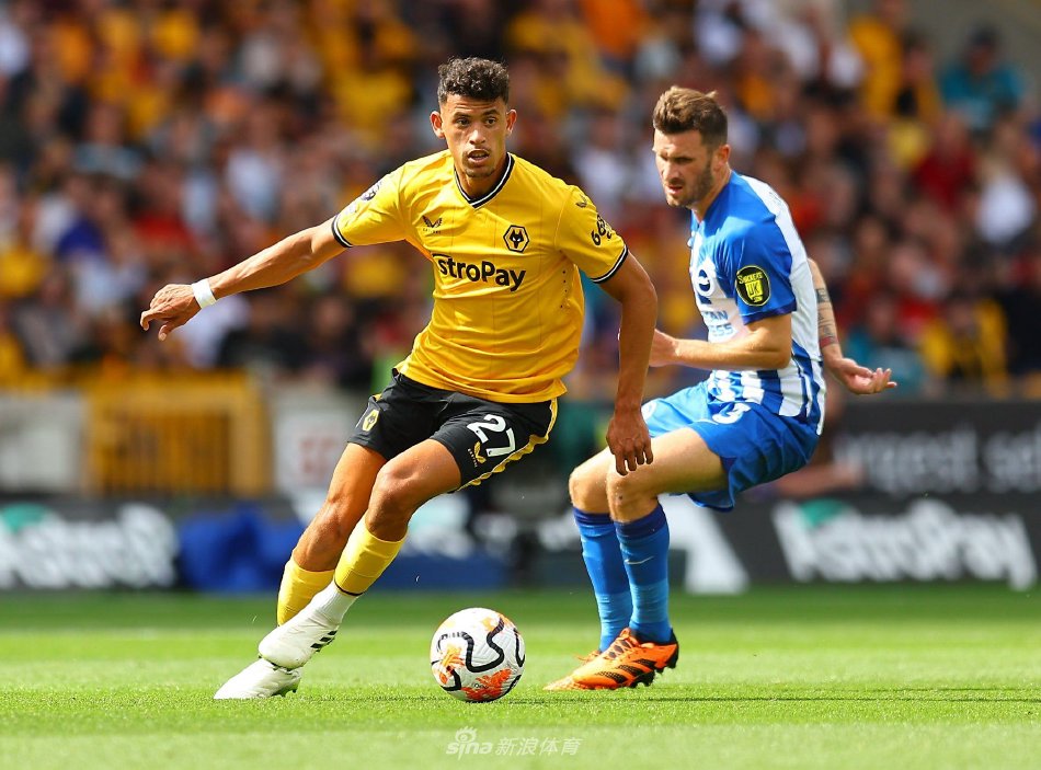 寥寥无几 寥寥无几