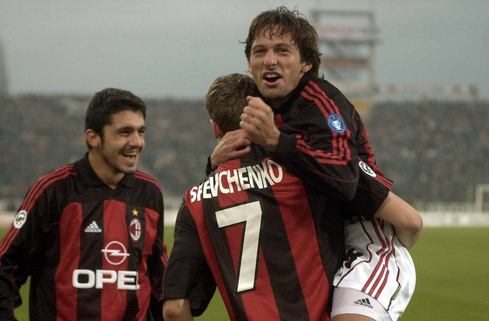 仅彰显了蓝 仅彰显了蓝